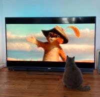 Philips Ambilight 65 Zoll Pankow - Prenzlauer Berg Vorschau