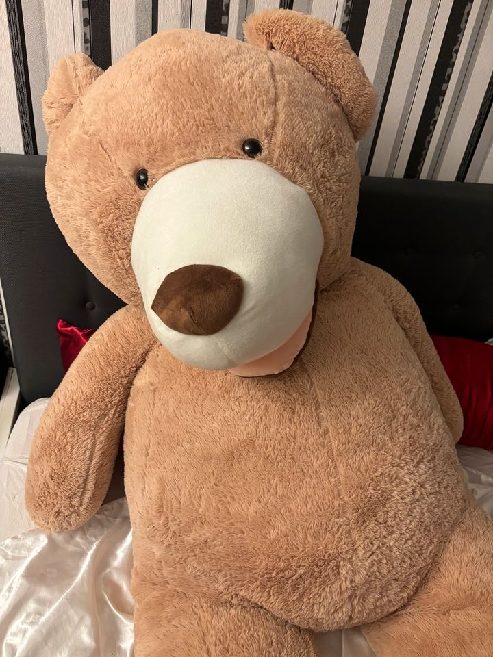 Großer Teddy Bär 2 Meter groß in Viernheim