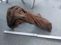 Wurzel für Aquarium Holz Deko ca 30 cm lang Bayern - Eltmann Vorschau