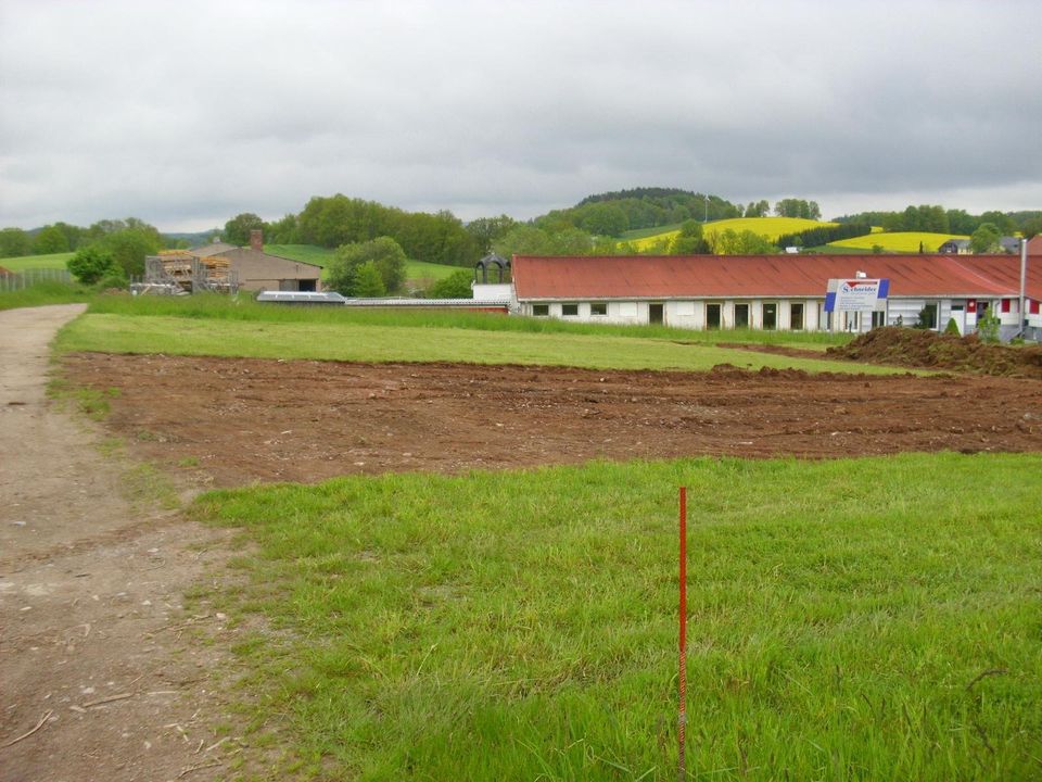 Erdarbeiten Baggerarbeiten Zaunbau Pflasterbau in Kirchberg