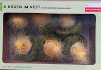 Küken im Nest, Dekoration, Ostern Brandenburg - Strausberg Vorschau