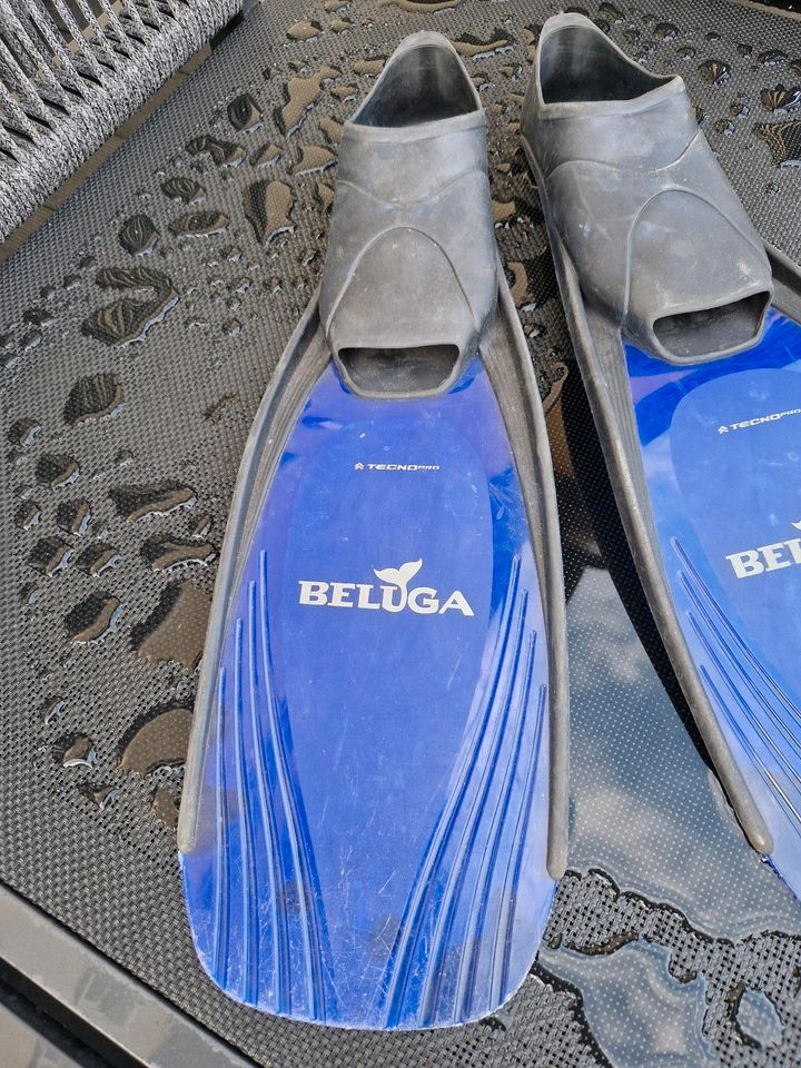 BELUGA Tecno Pro Flossen Schwimmflossen 34 / 35 in Bensheim