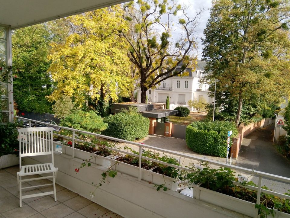 Wunderschöne 1 Zimmer Wohnung mit unmittelbarer Nähe zum Rhein in Bonn