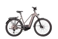 Hercules Futura Max I-12 E-Bike Trekkingrad Trapez RH 45 silber Bayern - Altomünster Vorschau