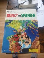 11 x Asterix und Obelix Hard/softcover incl. Versand Nordrhein-Westfalen - Windeck Vorschau
