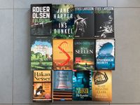 Bücherpaket 12 Thriller/Romane Saarbrücken-Dudweiler - Scheidt Vorschau