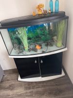 Aquarium mit Pumpe Nordrhein-Westfalen - Heinsberg Vorschau