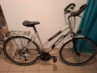 Damenfahrrad 28 Zoll 24 Gang Nordrhein-Westfalen - Paderborn Vorschau