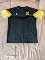 BVB Borussia Dortmund Iconic Shirt Gr M Puma sehr guter Zustand Hessen - Heuchelheim Vorschau