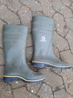 Gummistiefel  Gr.39 Nordrhein-Westfalen - Detmold Vorschau