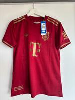 Trikot Bayern Sondertrikot Schleswig-Holstein - Wilster Vorschau