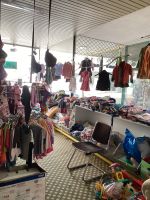 Kinder Bekleidung Damen und Herren Bekleidung zu verkaufen Rheinland-Pfalz - Sinzig Vorschau