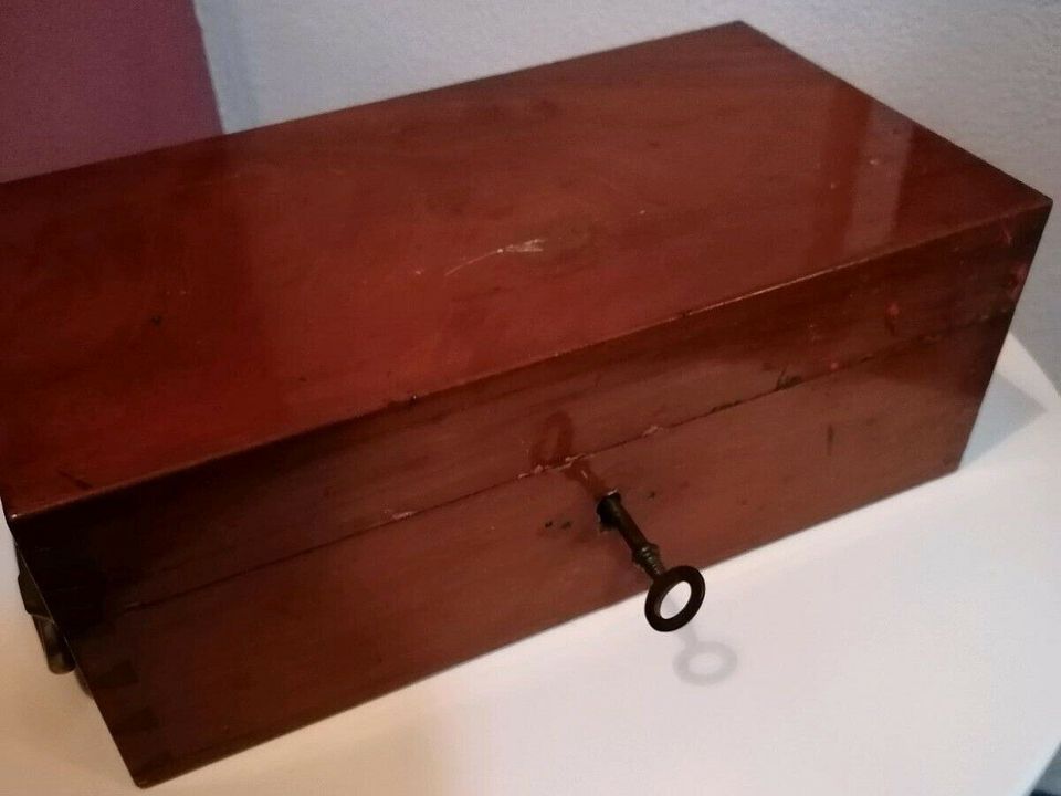 Holz Box Mikroskop Transportbox Kiste in Waldsolms