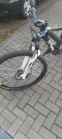 Rockrider  520 btwin fahrrad  27 zoll Nordrhein-Westfalen - Unna Vorschau