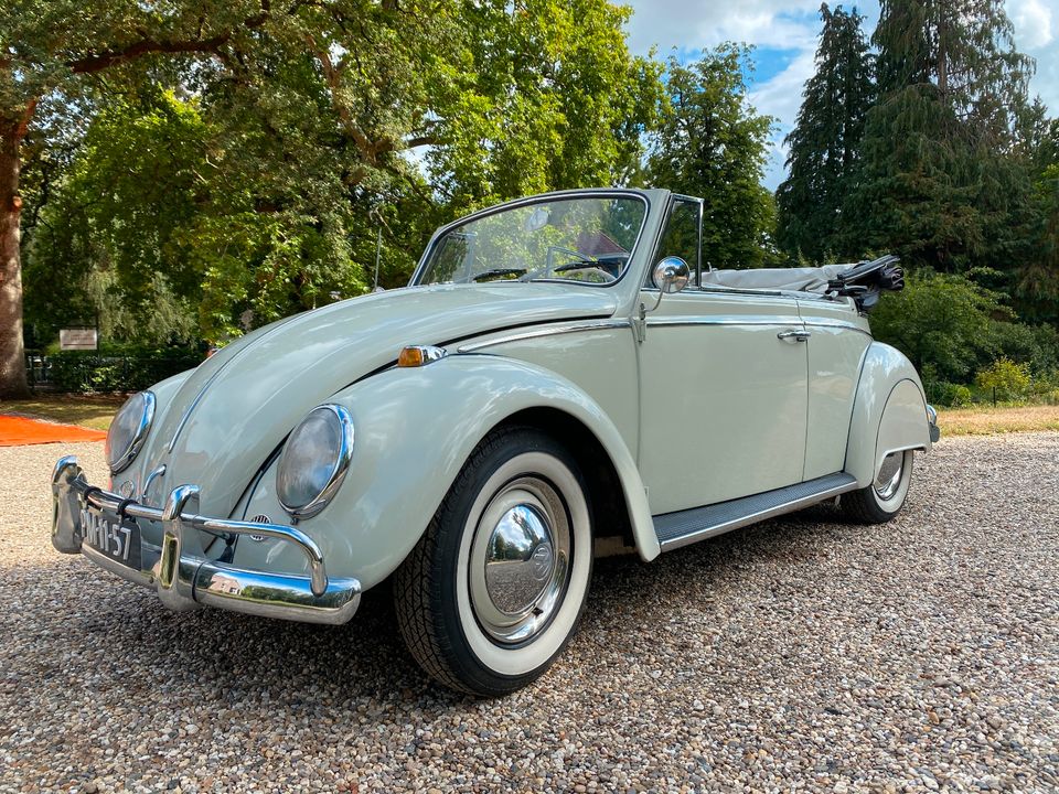 Hochzeitsauto Oldtimer Käfer cabrio 1965 Mieten kevermobiel in Bad Bentheim