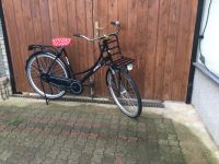 Fahrrad nagelneues AMIGO Transportfahrrad Damen  28 Zoll Sachsen-Anhalt - Schkopau Vorschau