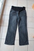 Schwangerschafts-Hose Gr. 44 Nordrhein-Westfalen - Willebadessen Vorschau