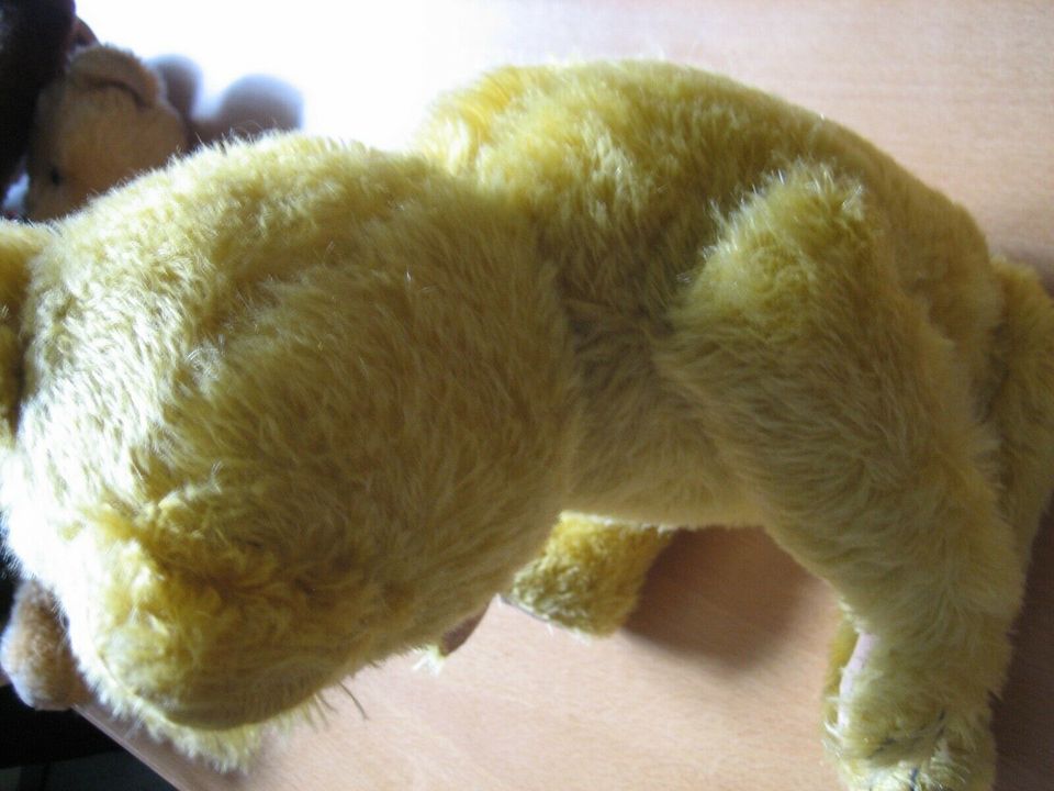 Alter BÄR Teddy Teddybär ca 44cm Holzwolle Hermann Steiff ??? in Rheinstetten