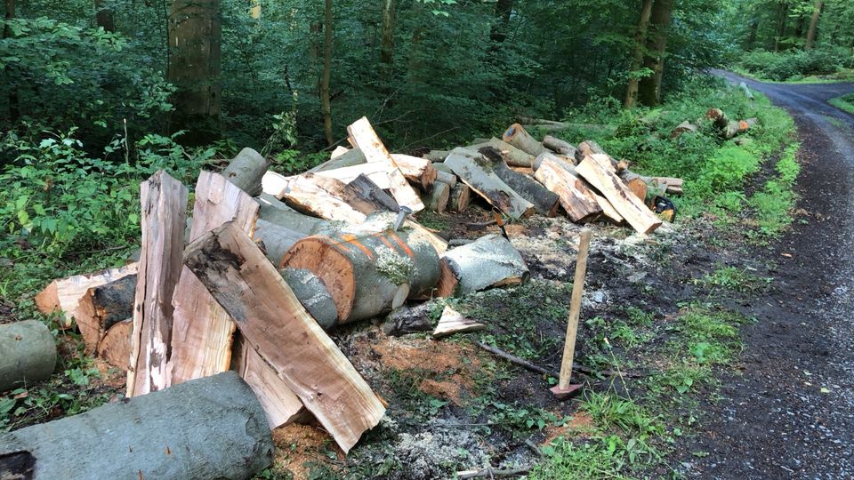 Holzgemeinschaft Selbstwerber Aufarbeitung Niedenstein+Umgebung in Niedenstein