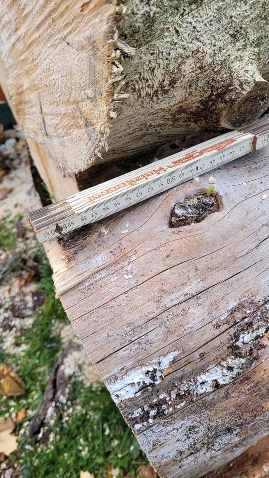 Nadelholz, auf 60cm Länge geschnitten in Waldfriede bei Birkenfeld