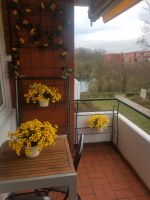 2 Regale, Balkon, Metall Niedersachsen - Hemmingen Vorschau