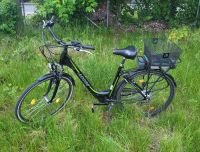 Adore Pedelec E-Bike Cityfahrrad 28'' Versailles 250w 36v tausch Leipzig - Eutritzsch Vorschau