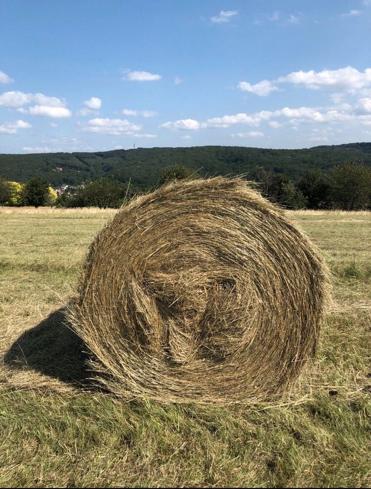 Heuballen, Rundballen, Heu, 90cm, 2023 in Nohfelden