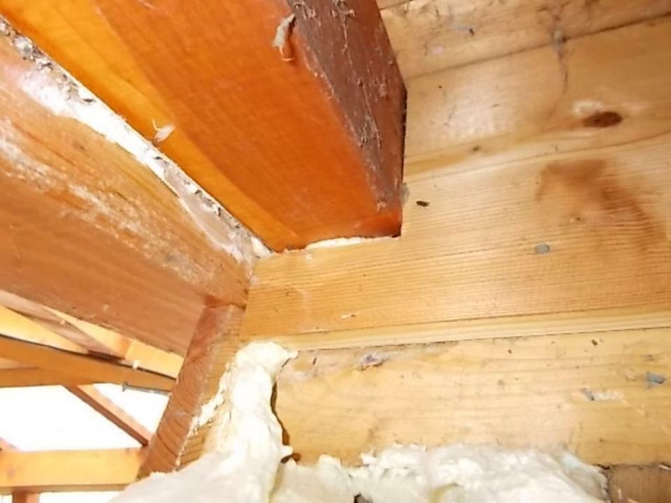 6 x pu schaum bau bauschaum montage montageschaum isolierung in Frickingen