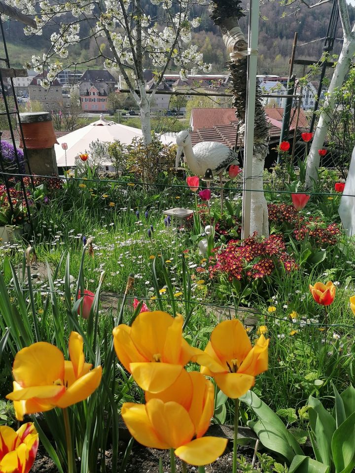 Gartengrundstück in Horb am Neckar