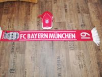 Bayern München set Sachsen-Anhalt - Aschersleben Vorschau