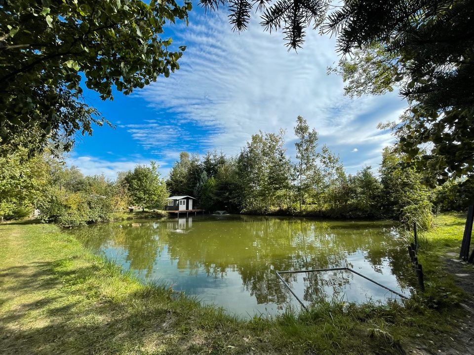 Angelteich in Goslar angeln auf Forelle Karpfen Aal und Wels in Salzgitter