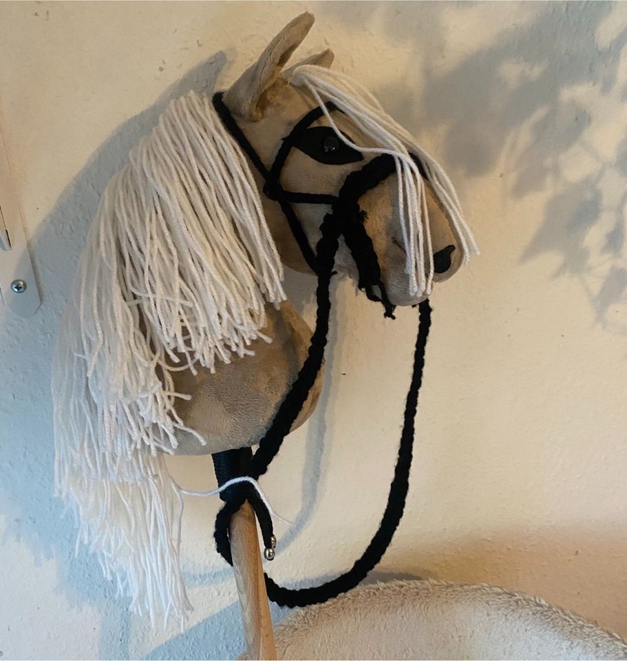 Hobby horse in Rüsselsheim