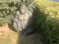 Verkaufe großen Gorilla da Garten Aufgabe leider 1,25 groß sitzen Niedersachsen - Grasleben Vorschau