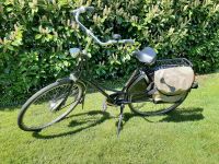 Fahrrad Gazelle Nordrhein-Westfalen - Steinfurt Vorschau