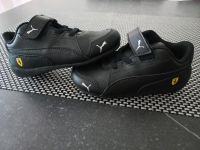 PUMA Ferrari Turnschuhe Junge Gr. 24 NEU Nürnberg (Mittelfr) - Großreuth b Schweinau Vorschau