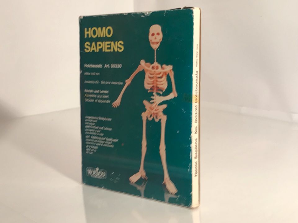 HOMO SAPIENS  in 3D Holzbausatz Weico Art. 80330 in Sassenburg