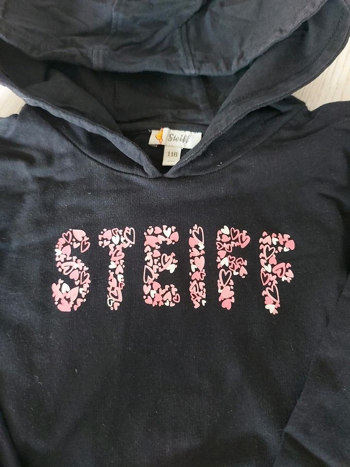 Steiff Sweatshirt Gr.116, Top Zustand ❤️ in Goldberg