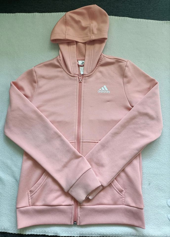 Pinke Adidas Jacke in Halle