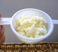 Kefir, Kefirknolle, Milchkefir Kultur München - Milbertshofen - Am Hart Vorschau