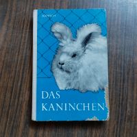 Das Rassekaninchen  Buch Sachsen - Böhlen Vorschau