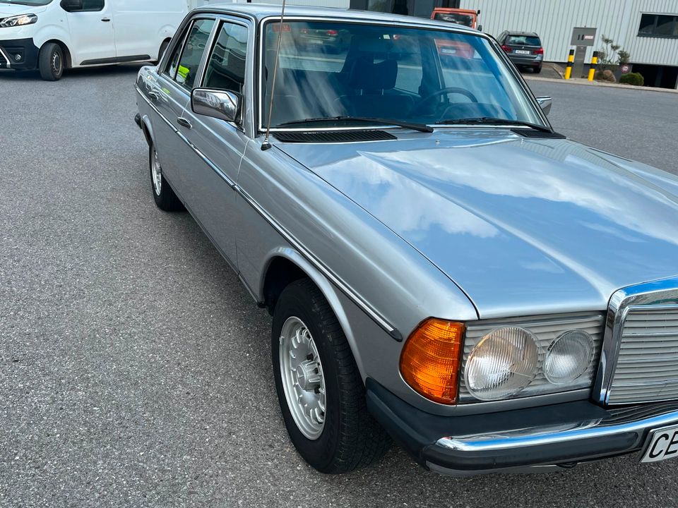 Mercedes 300 D W 123 in Aachen