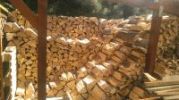 Buche Ofenfertiges Brennholz getrocknet mit Lieferung Niedersachsen - Salzgitter Vorschau