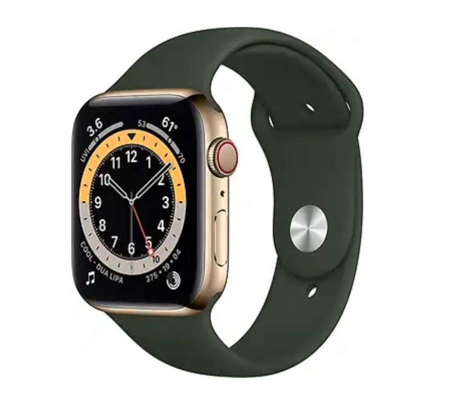 Apple Watch Series 6 44 mm Edelstahlgehäuse in Hersbruck