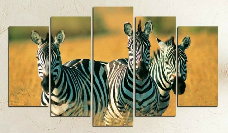 5 tlg. Wandbild mit Zebras  120 x 60 cm NEU in Weinbergen