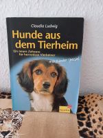 Hunde aus dem Tierheim - Ratgeber Dresden - Gorbitz-Süd Vorschau