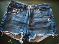 Levis Jeans Shorts 501 W25 - NEU Rheinland-Pfalz - Worms Vorschau
