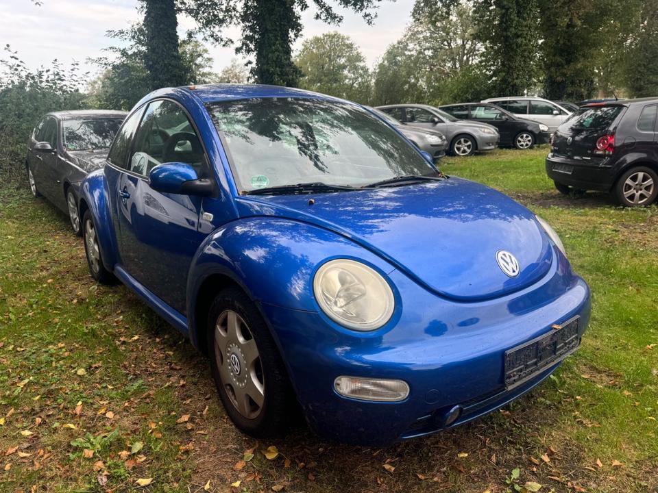 Volkswagen NEW BEETLE 1.4 16V*KLIMA*SHZ*NSW*LM*GJR*HU10/24* in Friedeburg
