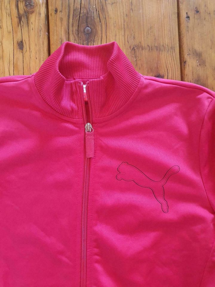 Puma joggingjacke gr 164 pink freizeitjacke Sportjacke in Oldenburg