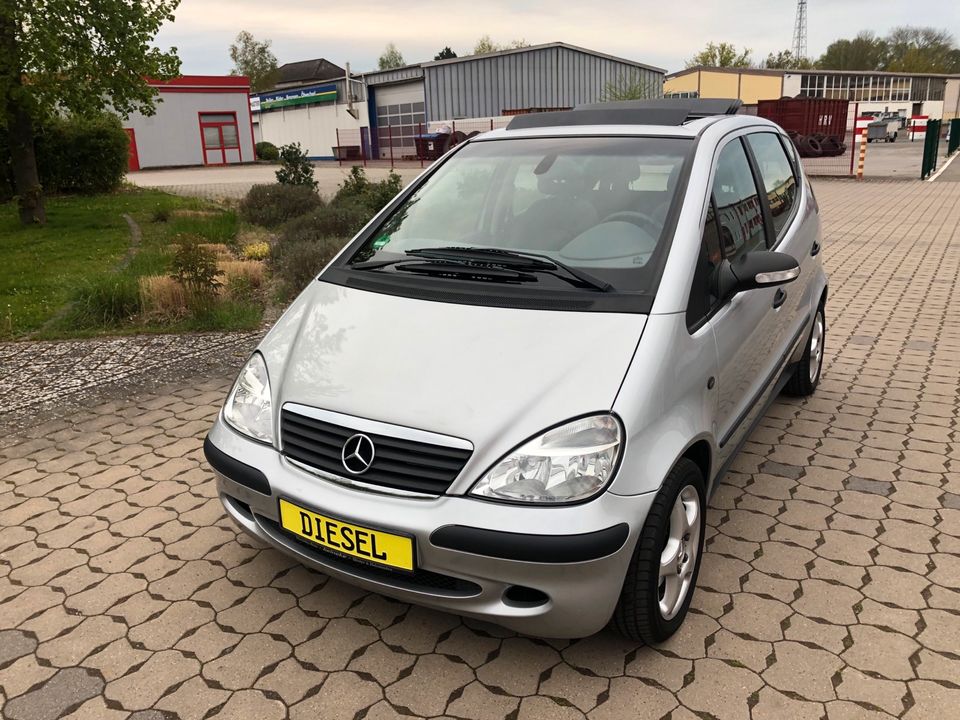 Mercedes A170 CDI Lang Classic grüne Plakette Klima Lamellendach in Holzminden