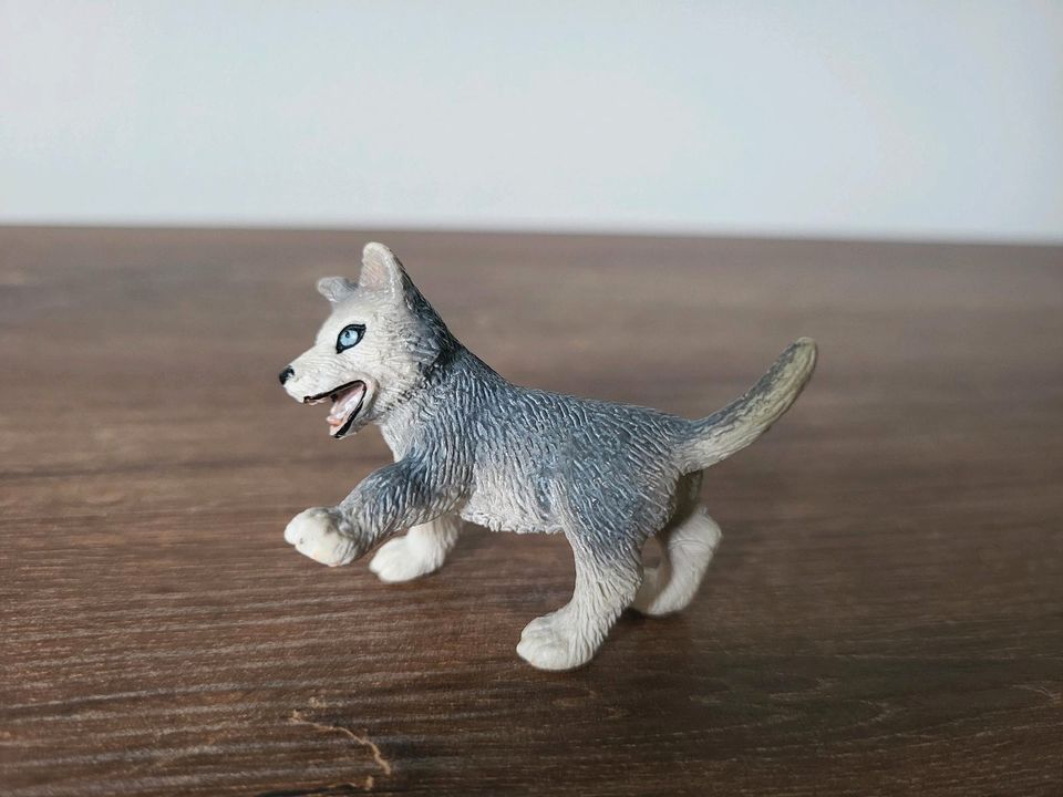 Schleich 16373 Husky Welpe spielend Hund in Hamburg